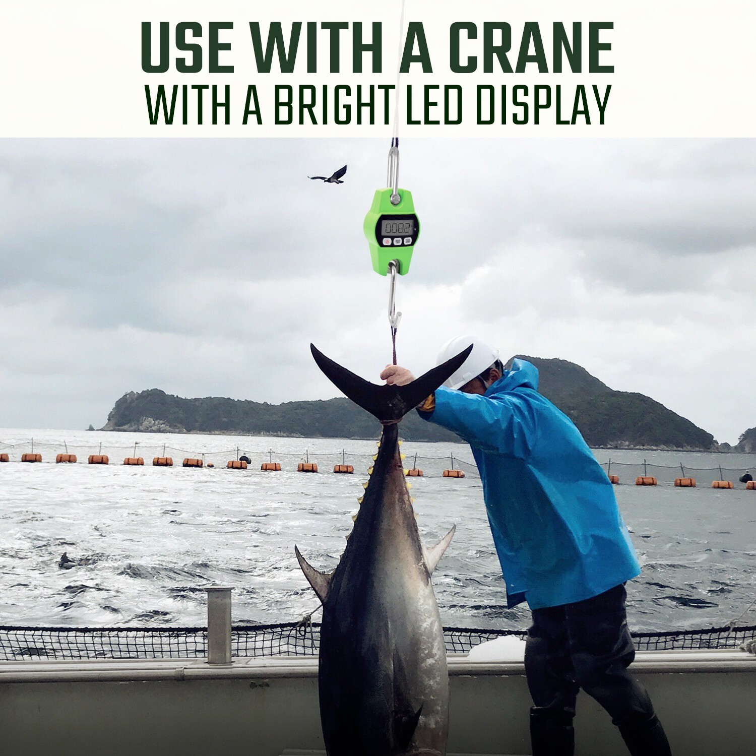 Portable Easy to Use 600 lb Digital Crane Scale LCD Display with Hooks