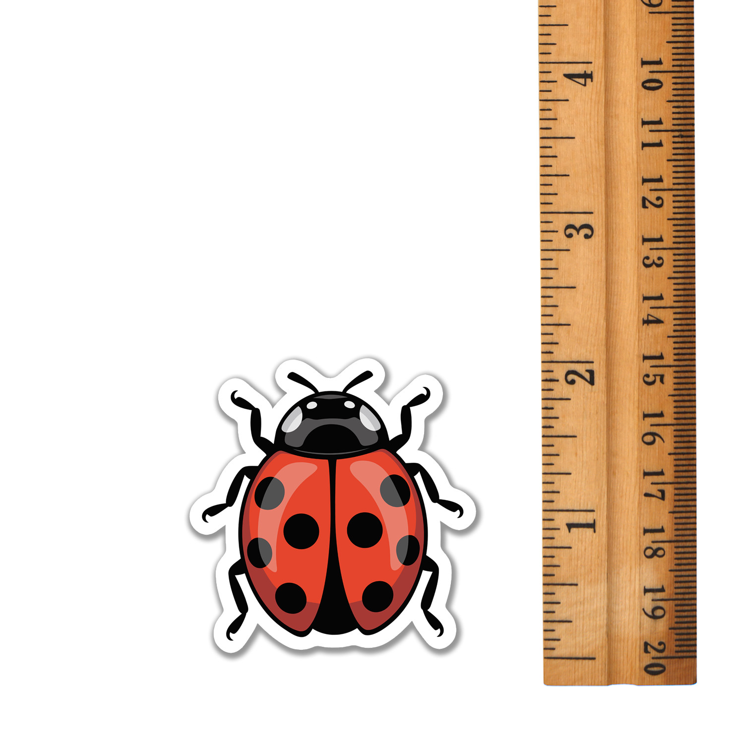 2" Ladybug Stickers Bundle 10 Pack - Bugs Insects Decal Sticker Ladybugs Insect