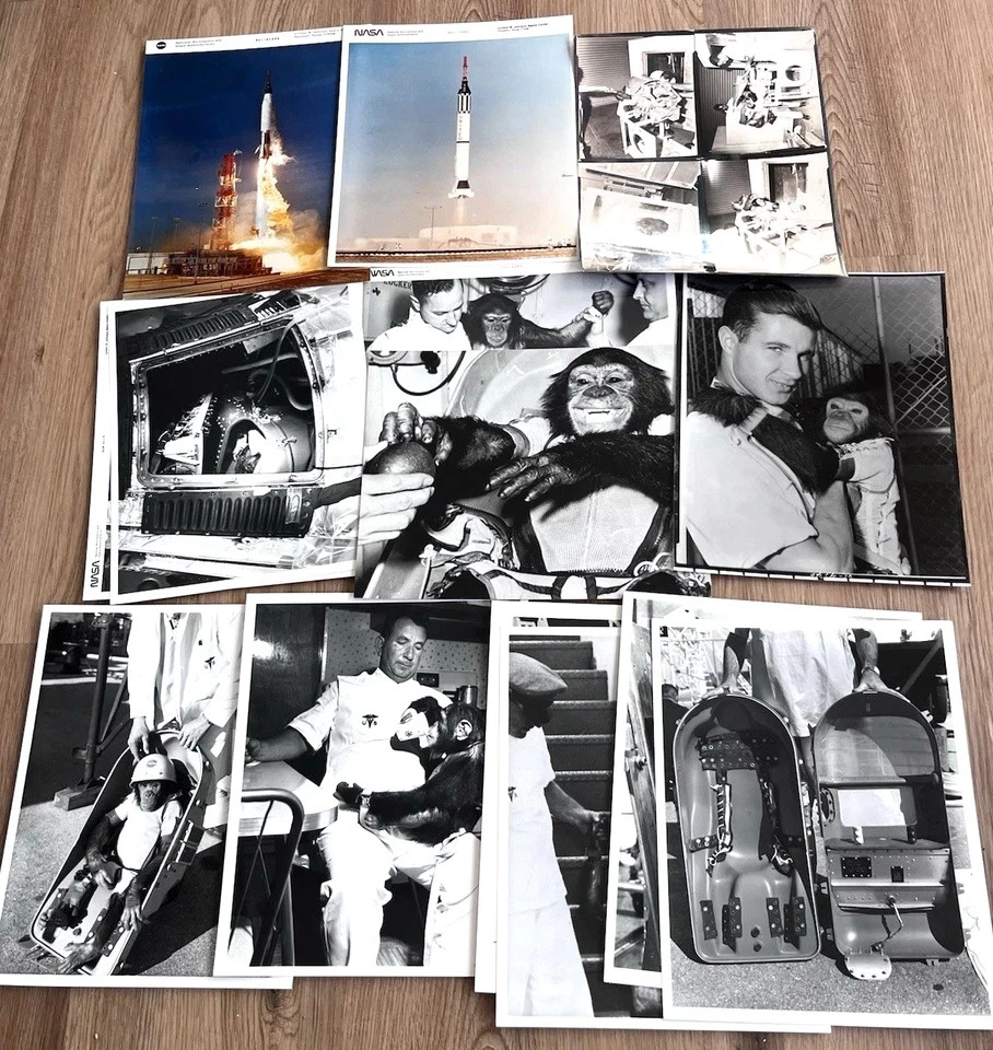 NASA Enos 1st Chimpanzee In Space Original Press Photo Photograph Lot