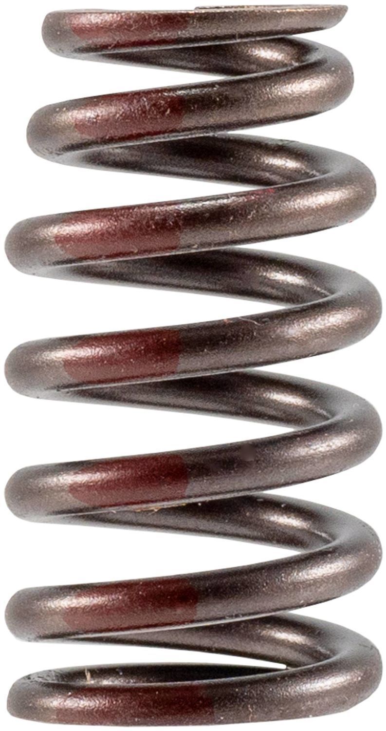 Engine Valve Spring-Stock Melling VS-2486