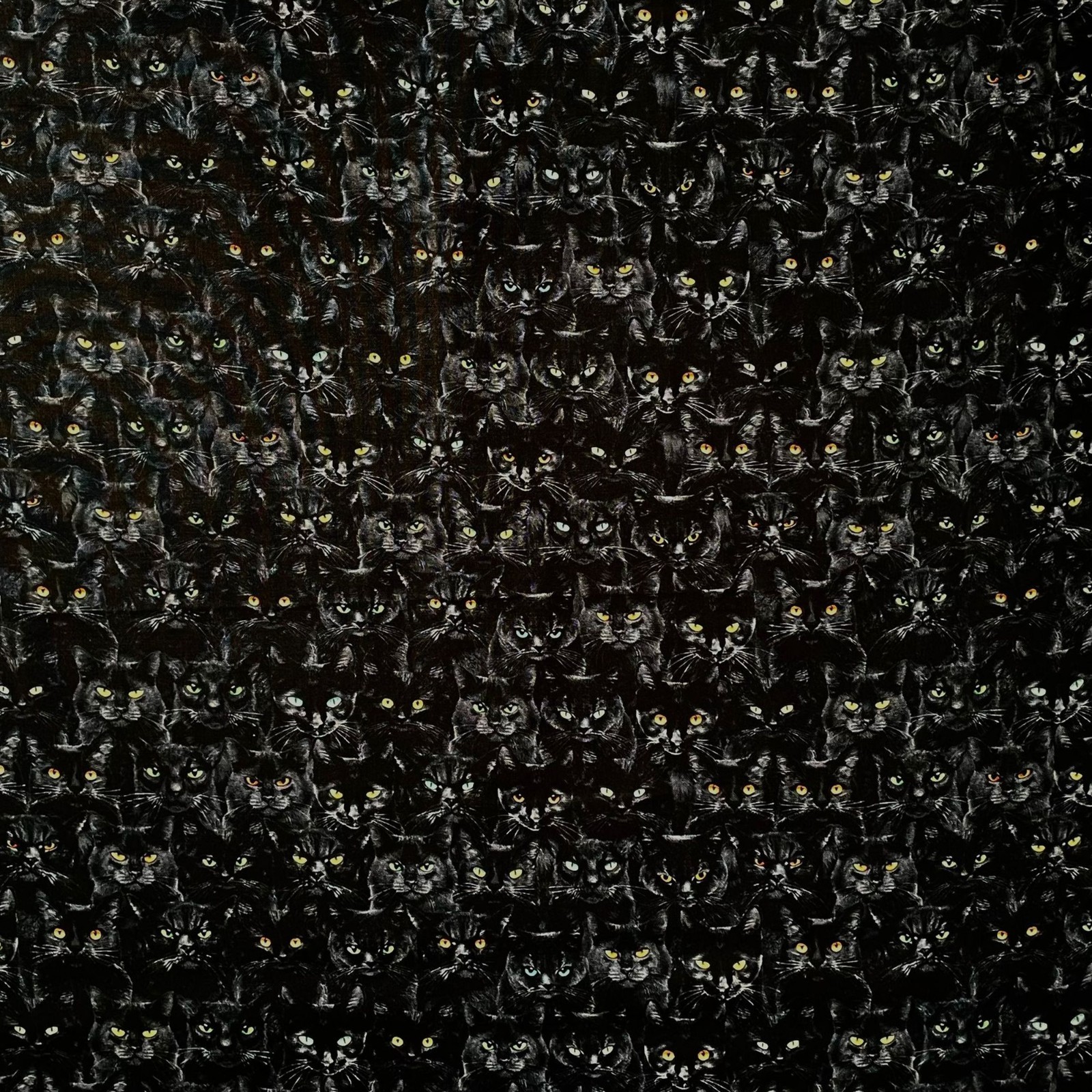Fat Quarter Cats Eyes Timeless Treasures 100% Cotton Lucky Black Cat