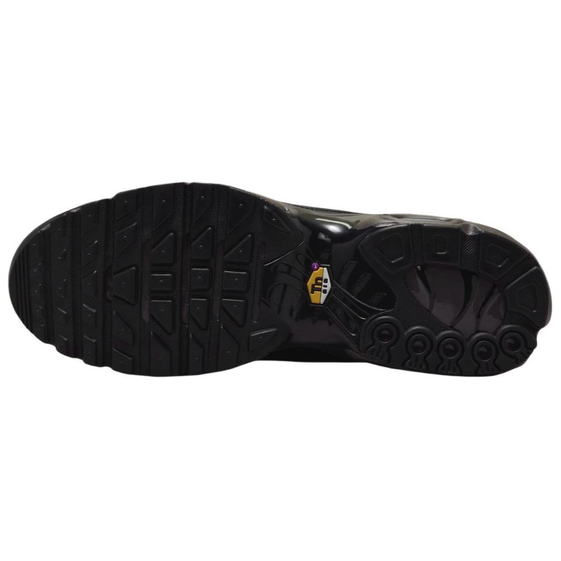 Nike Air Max Plus Premium Paris - HJ4519-200 Size