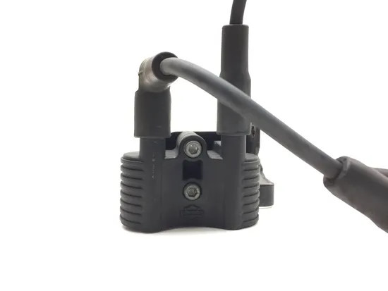 Ignition Coil Set 2007 Harley-Davidson Sportster 1200 Custom XL1200C 3035
