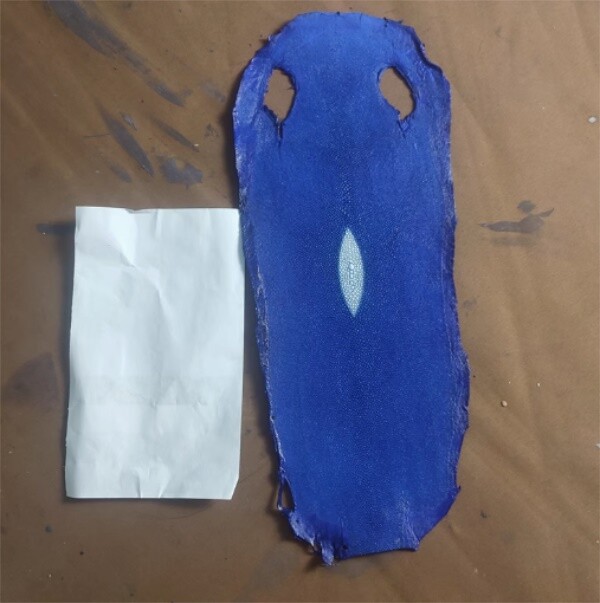 Stingray Shagreen Fish HIDE Skin Unpolished Leather Hide Pelt DIY Craft Material