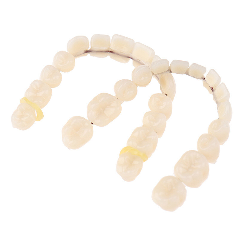 28Pcs Resin Denture False Teeth DIY Upper & Lower Dental Teeth Teaching Model