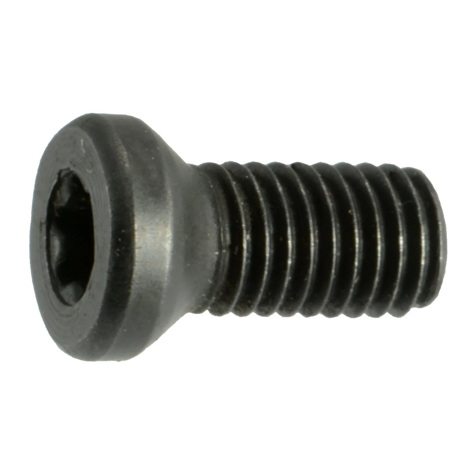 #6-48 x 1/4" Black Oxide T-10 Star Drive Weaver Oval Head Gun Screws (10 pcs.)