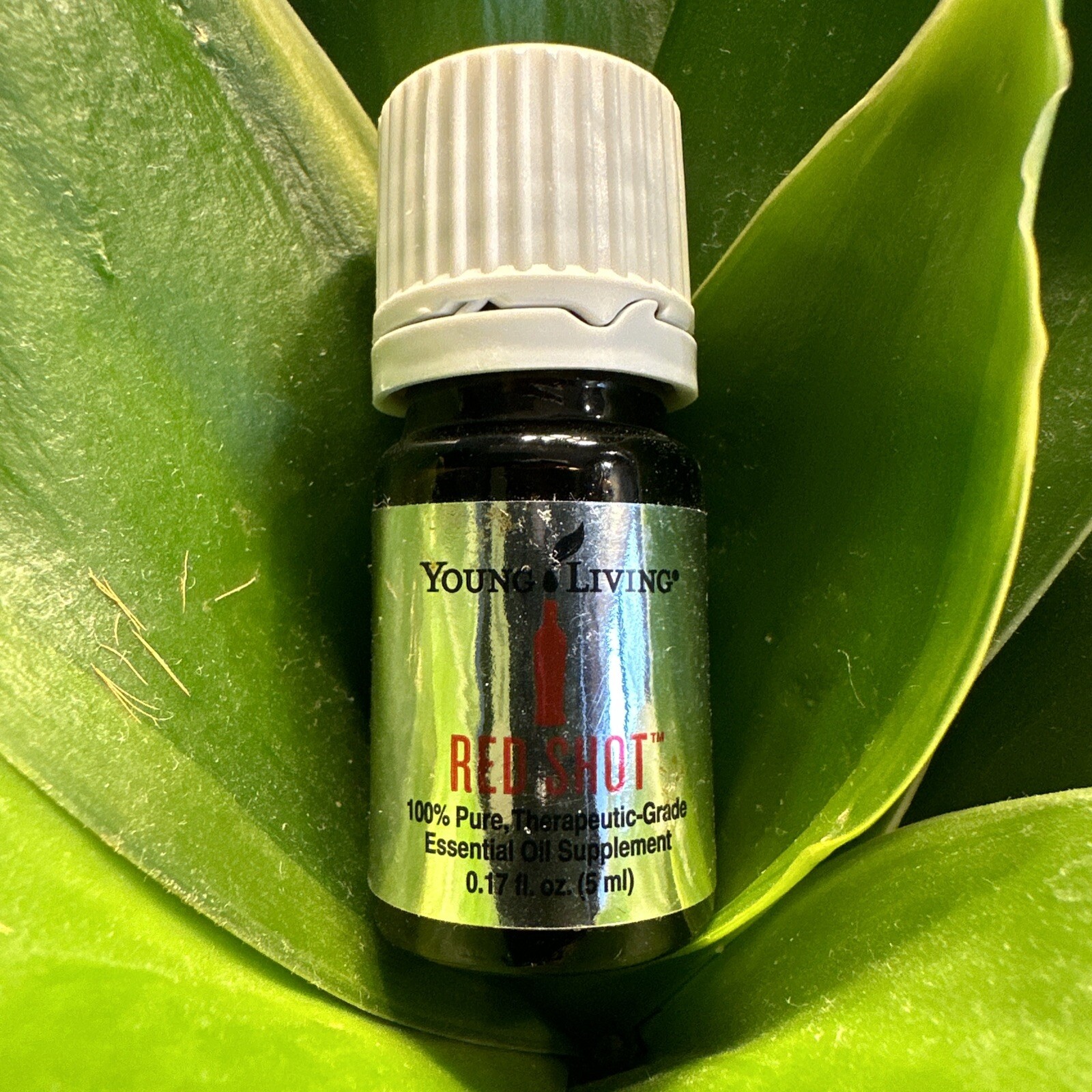Young Living Essential Oils Red Shot 5ml New And Sealed ￼
