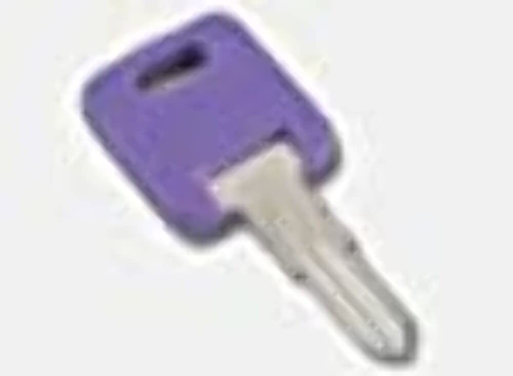013690316 Global Replacement Key #316