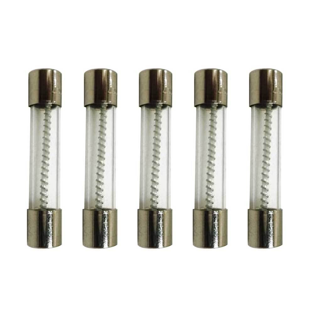 Slow Blow Fuse - 10 Amp - MDL, 32V - Set of 5