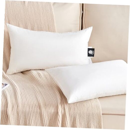Organic Feather Down Lumbar Pillow Inserts (14x22 Inch, Set of 2) - 100% 14*22"