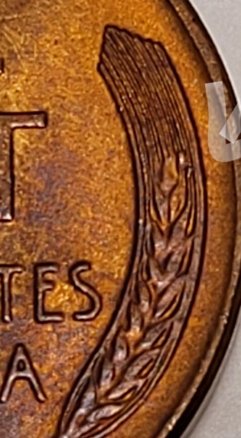 1956 D Lincoln Cent EXTRA  METAL CUD Error On right Wheat Head