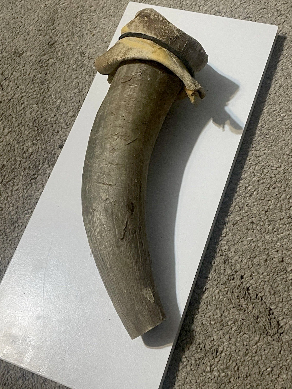 Gun Powder Horn Holder With Leather Strap