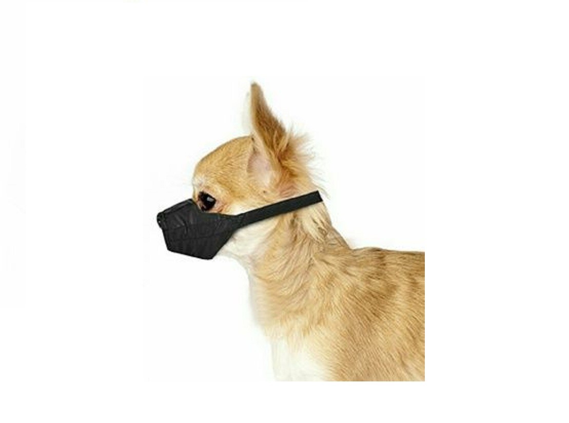 Top Performance 9 pc SET QUICK-FIT LINED COMFORT DOG MUZZLE*Training Groomer Vet