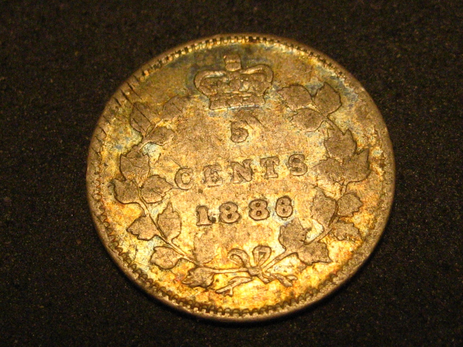 1886 Large 6 Canadian 5 Cent Silver Damaged
