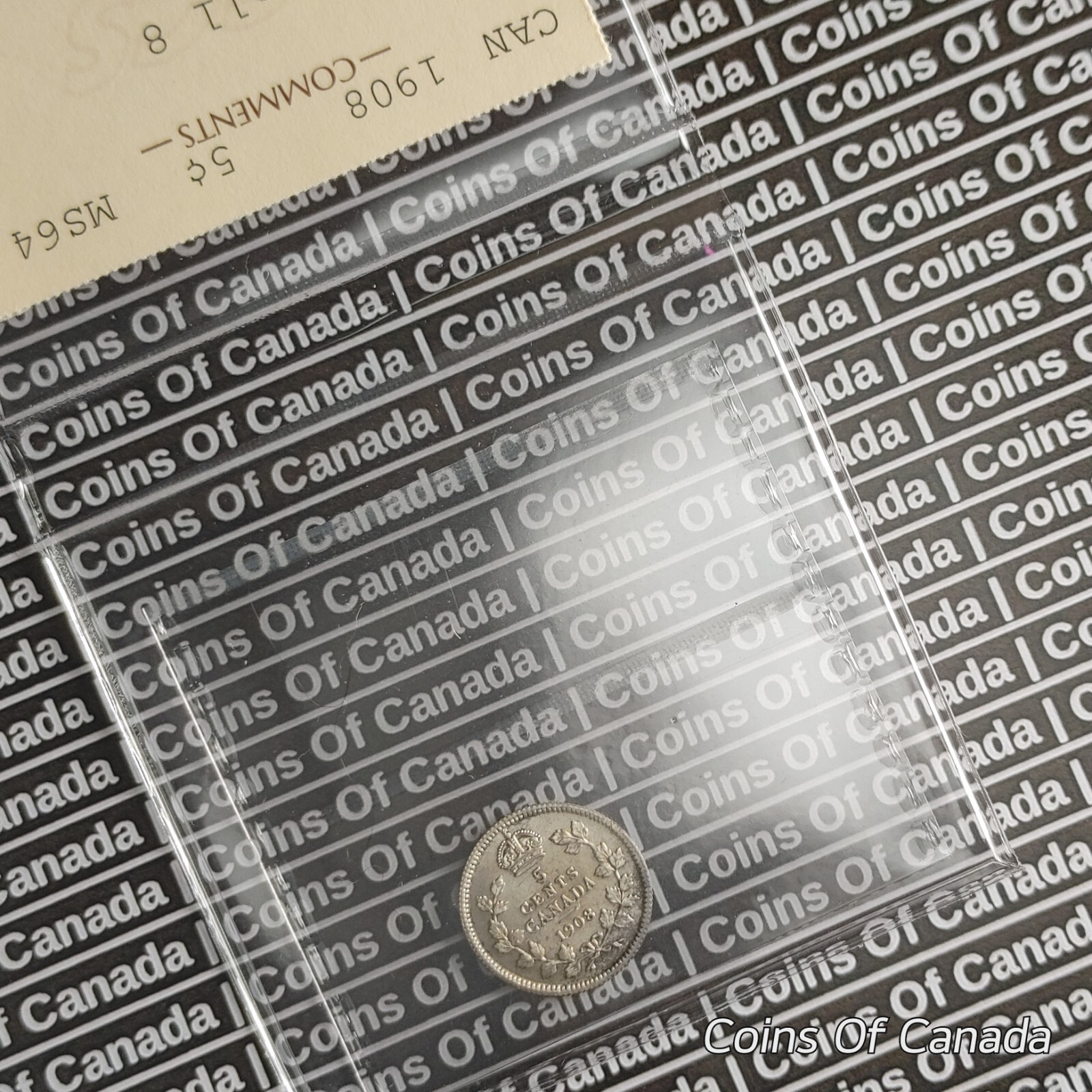 1908 Canada 5 Cent Silver Coin ICCS - MS 64 Small 8 #coinsofcanada