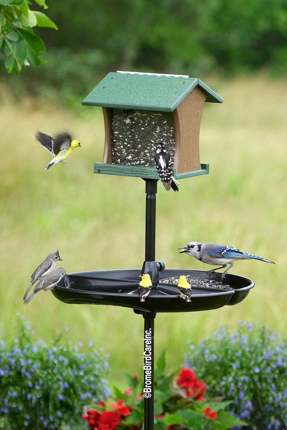 Seed Buster Seed Catcher Tray - REQUIRES a Birdsup Single Pole