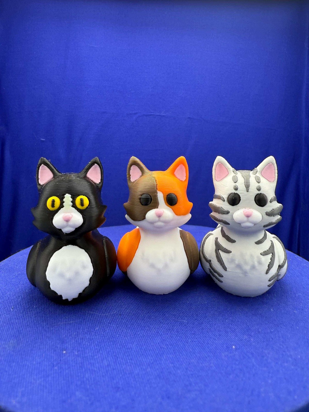 Cat Duck