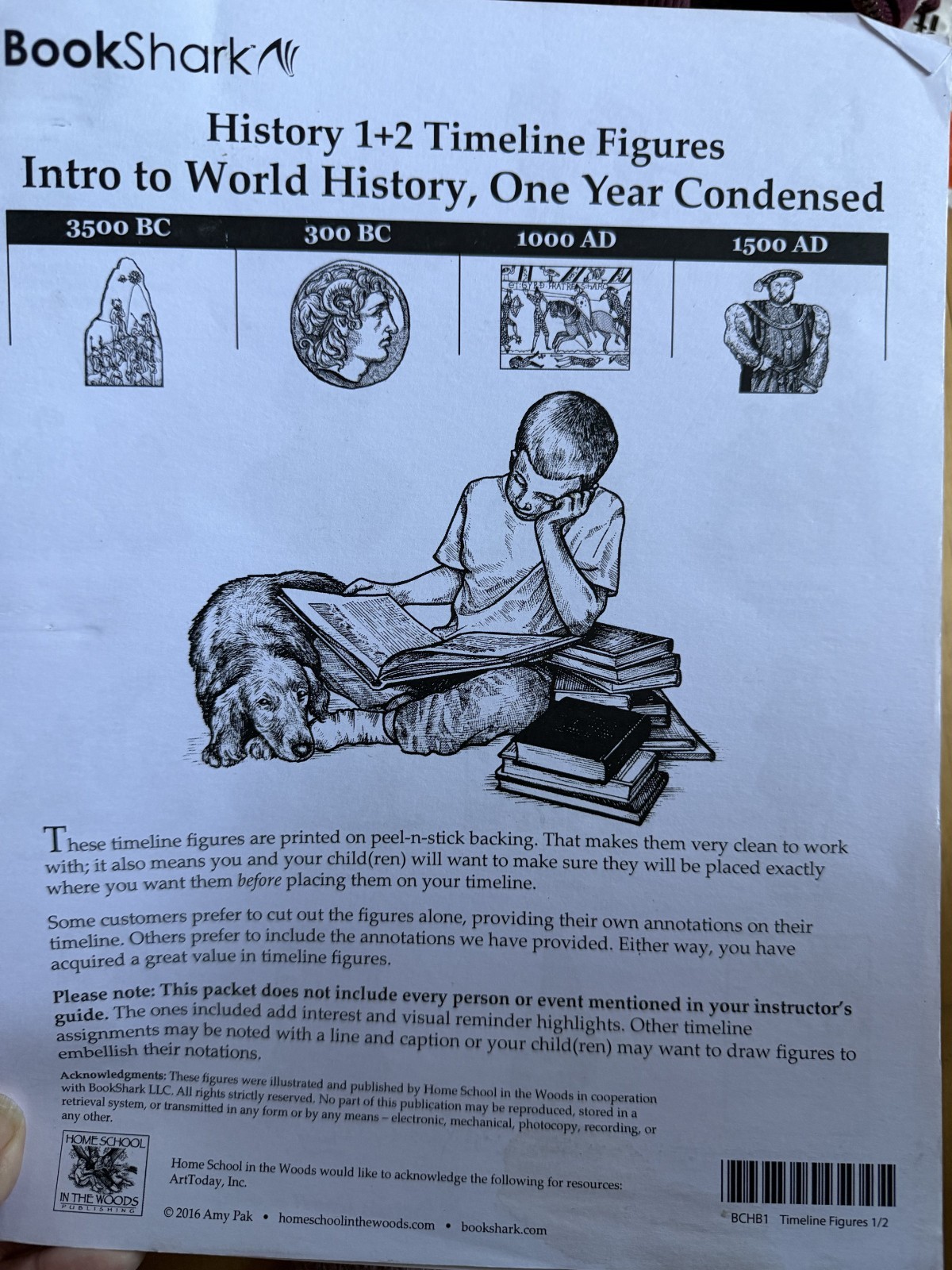 Bookshark Timeline Figures - Level B+C- Intro to World History Condensed