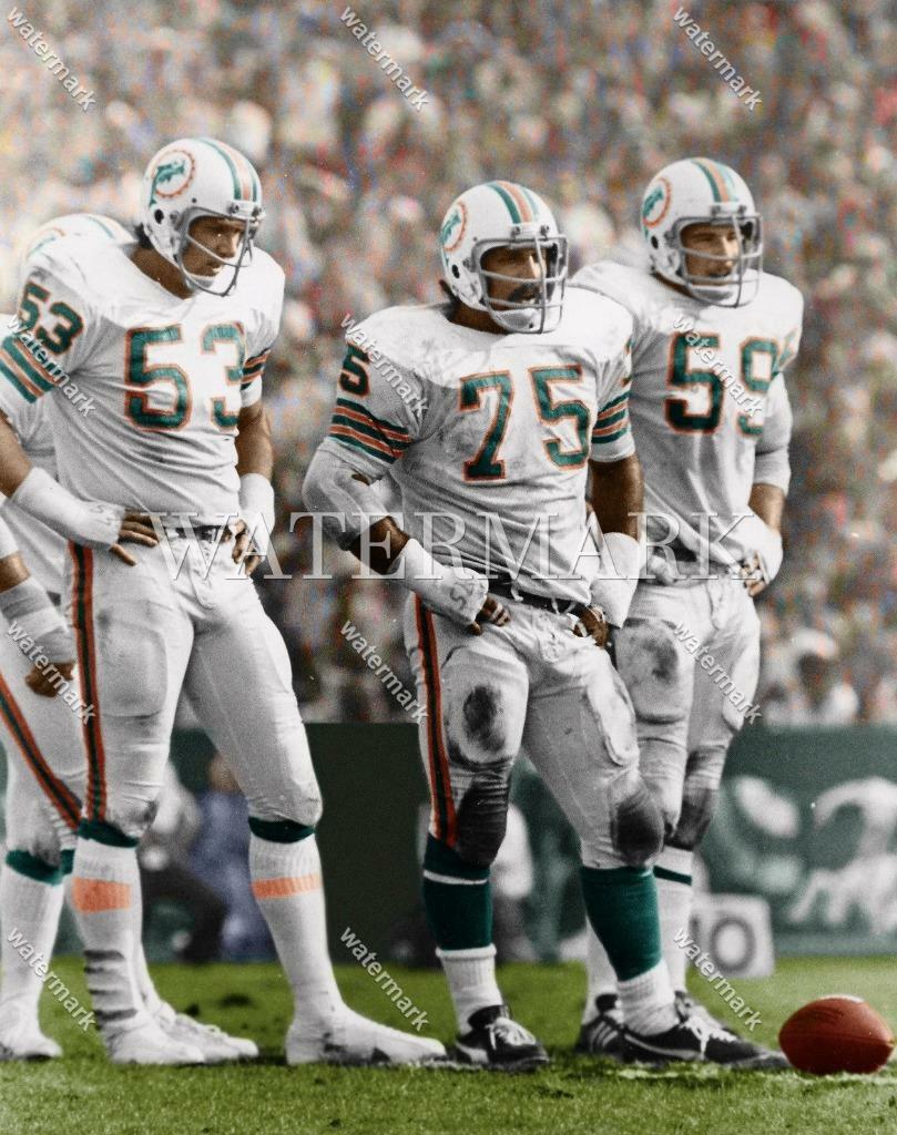 DL998 Manny Fernandez - Bob Matheson - Doug 8x10 11x14 16x20 Colorized Photo