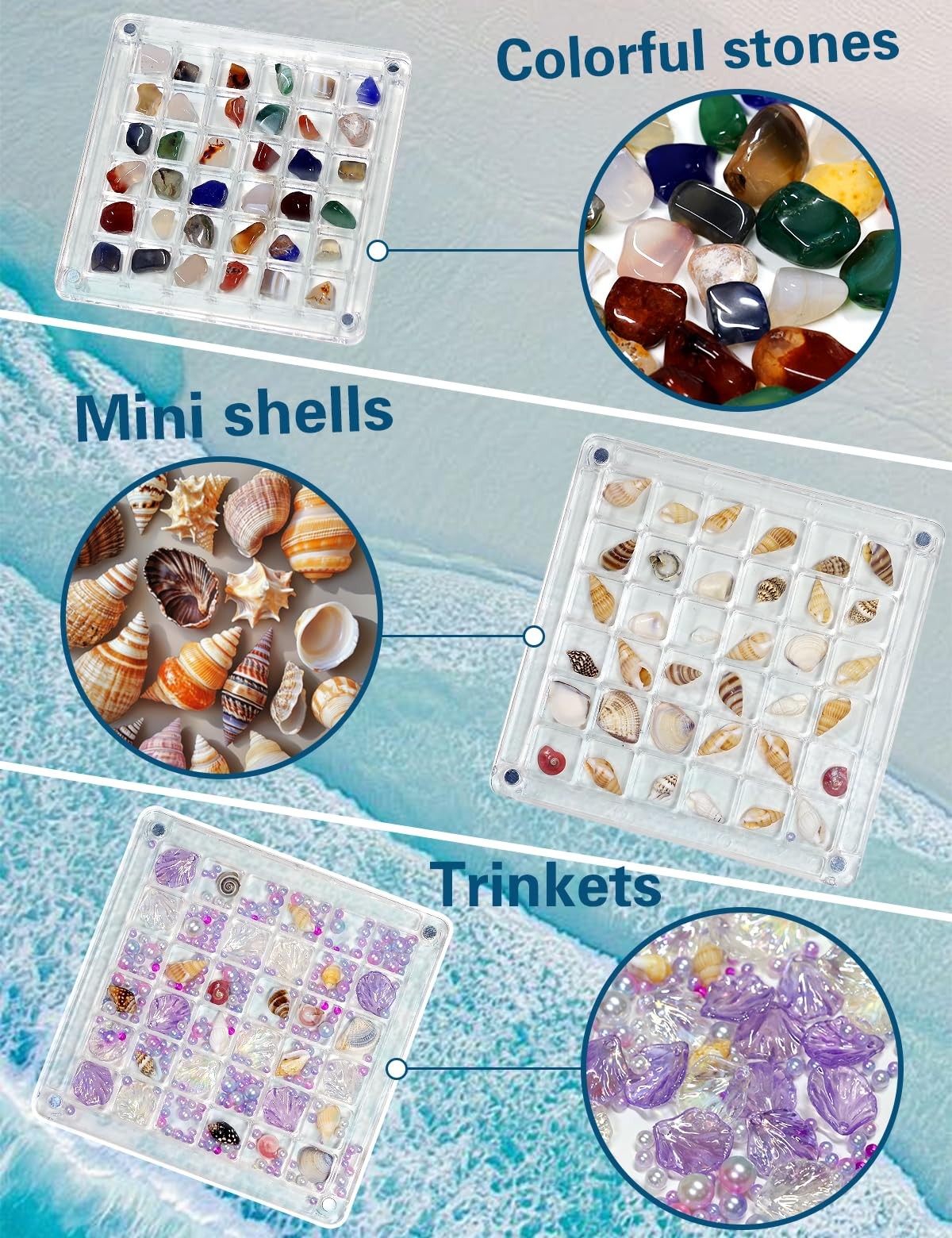 Seashell Display Box – 36 Grid Clear Acrylic Shell Holder & Organizer