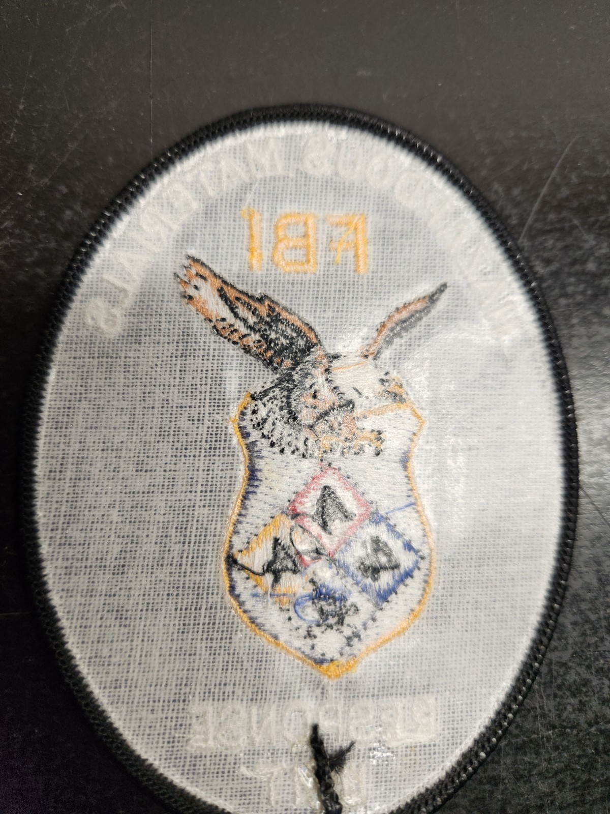 FBI Hazardous Materials Response Unit Patch For Display Only - Collectable