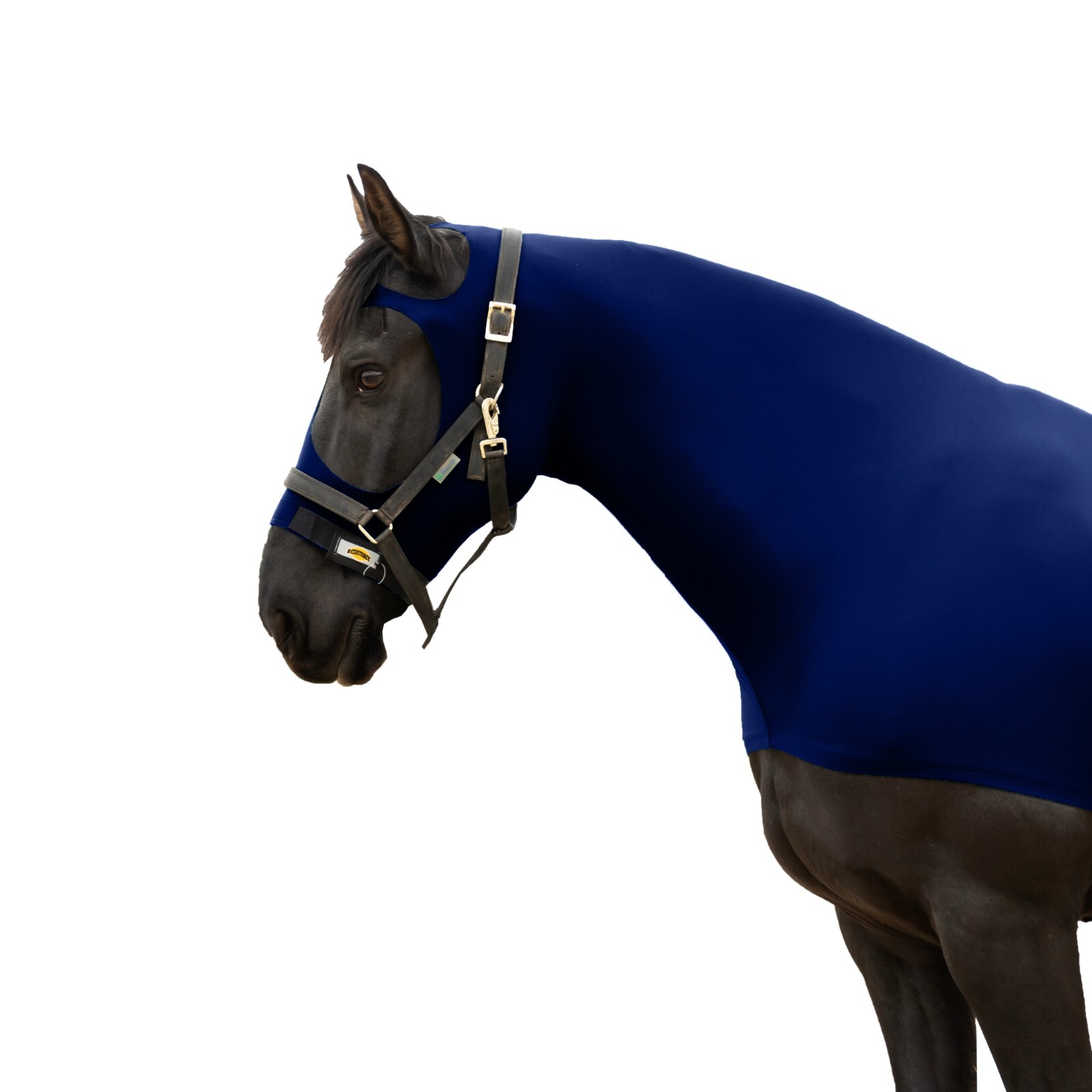 Premium Horse Hood Pullon with Face w Forelock Saver - Horse Sleazy Slickers