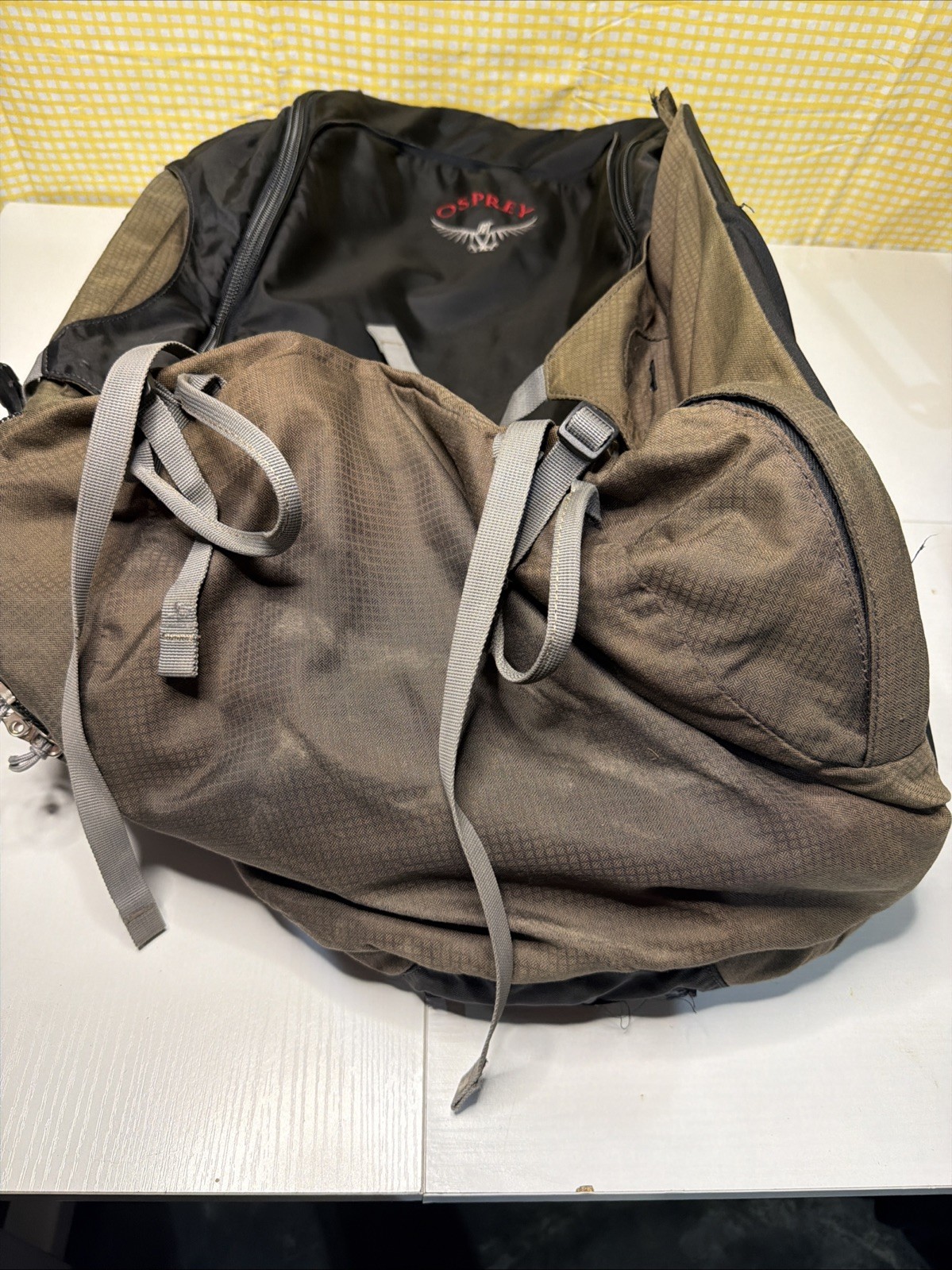 Osprey Waypoint 85 Travel Backpack