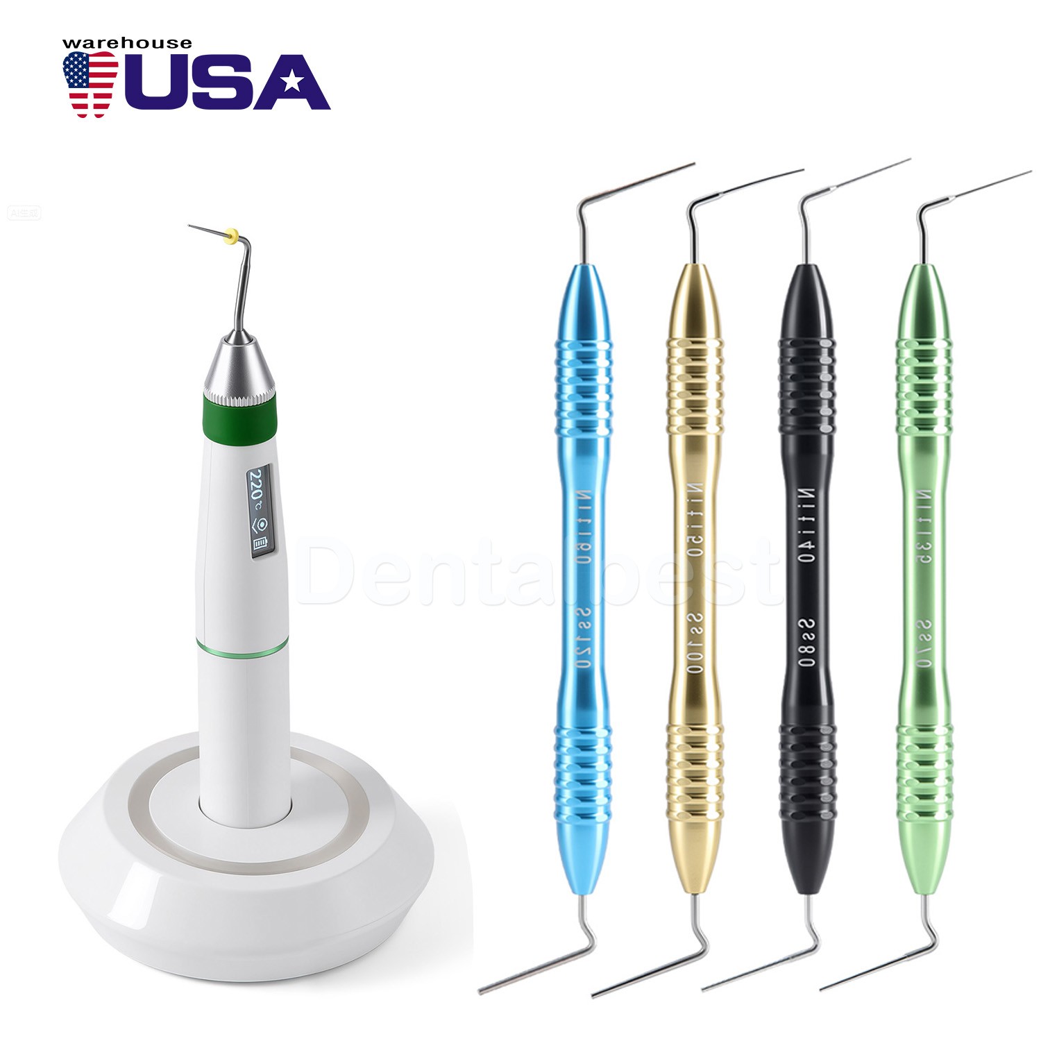 Dental Endo Cordless Gutta Percha Obturation Heated Pen System R21 /Hand Plugger