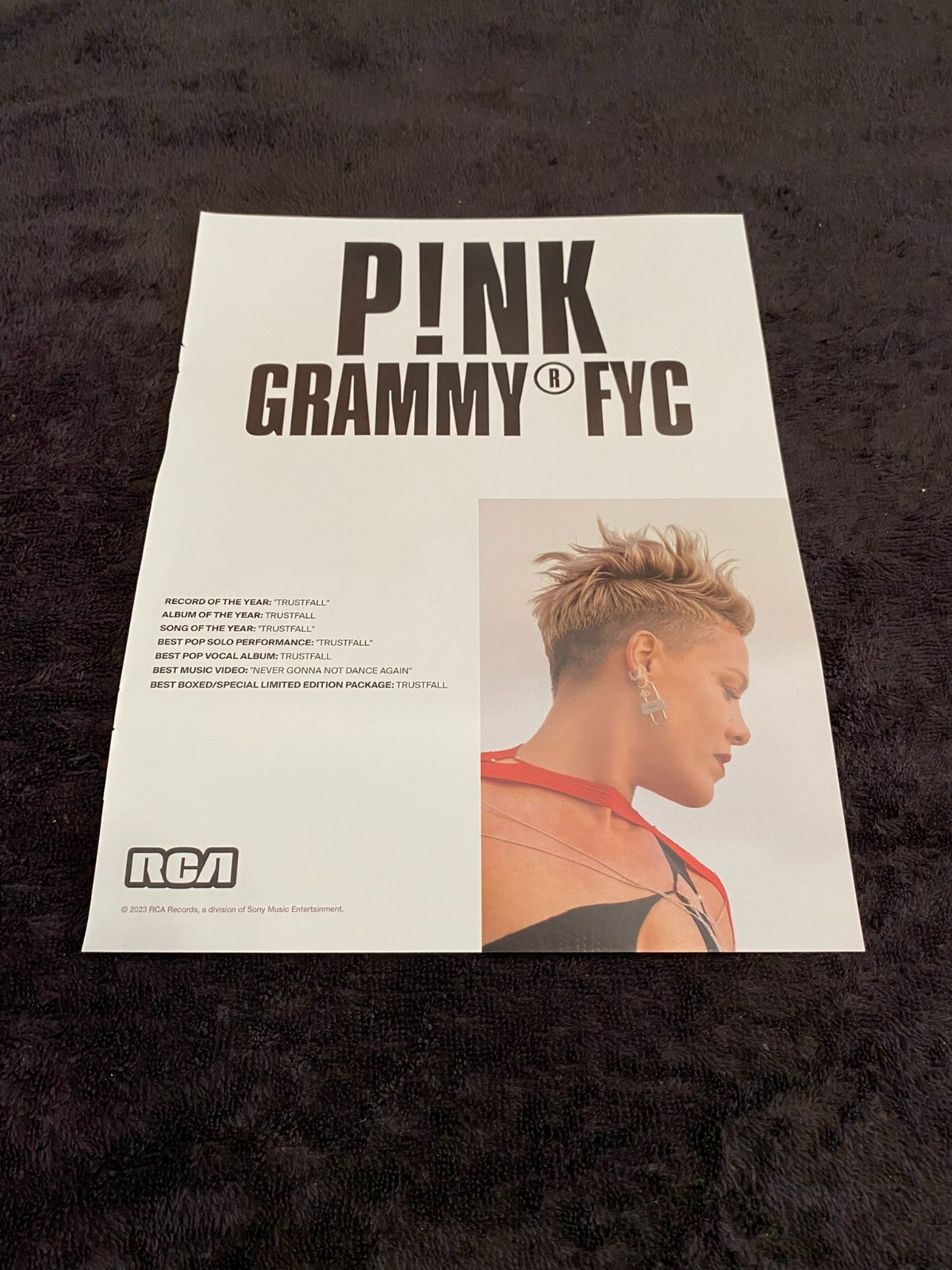 PINK 2024 Grammy ad for Record of the Year "Trustfall" & THE WAR AND TREATY