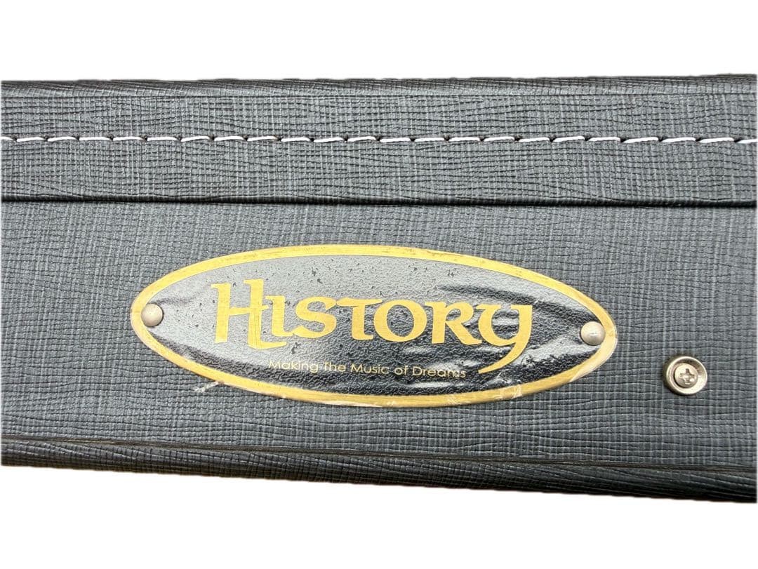 History Dignity Electric Guitar