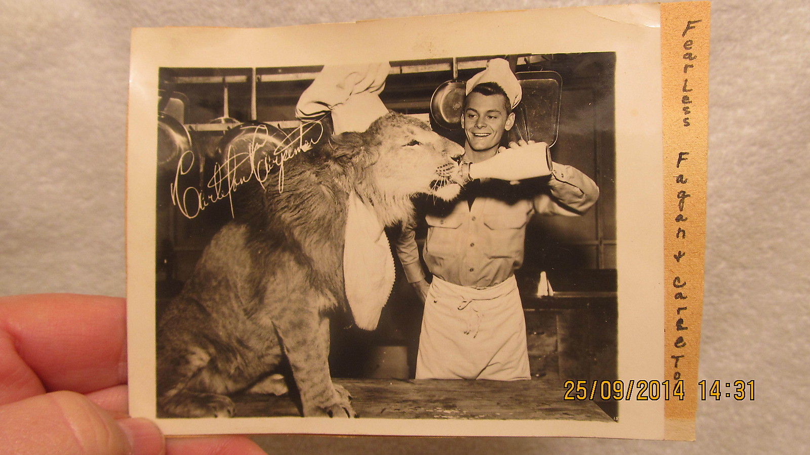 Autograph & Photo Carleton Carpenter & Fearless Fagan Lion 1952 Film Gay Actor