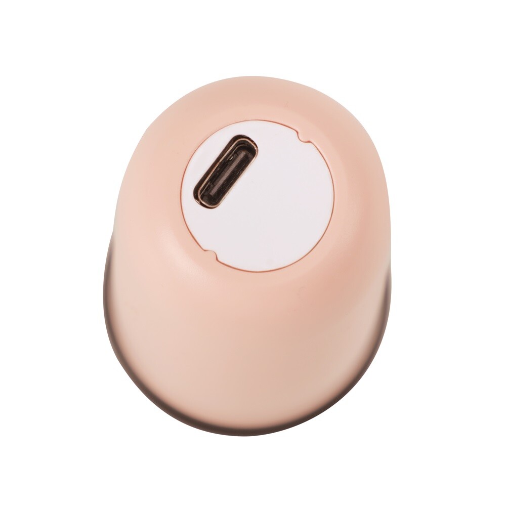 Bluetooth Portable Karaoke Machine Speaker Kids 2 Microphones