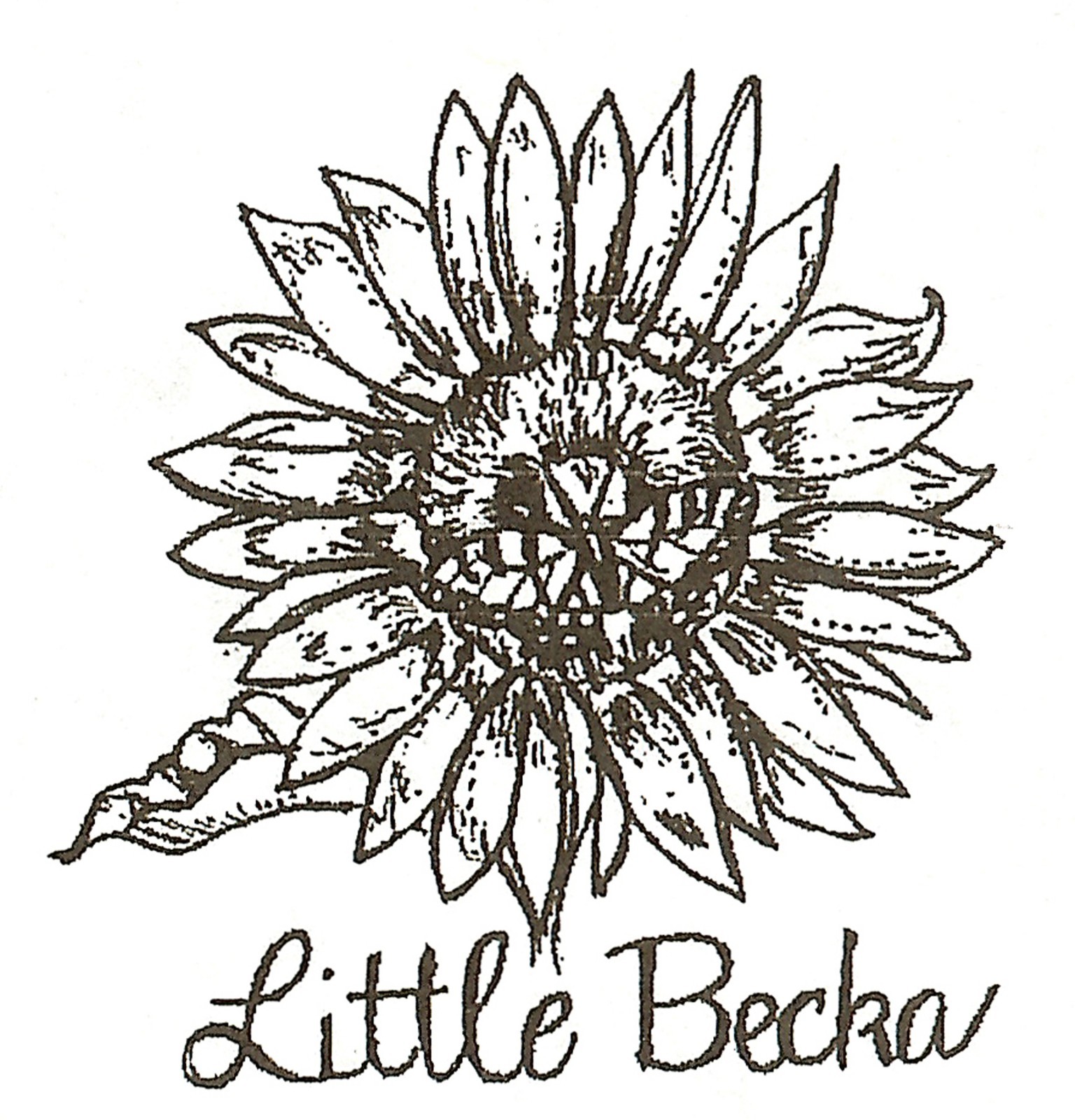 SUNFLOWER LITTLE BECKA Wood Mounted Rubber Stamp NORTHWOODS C10087 New