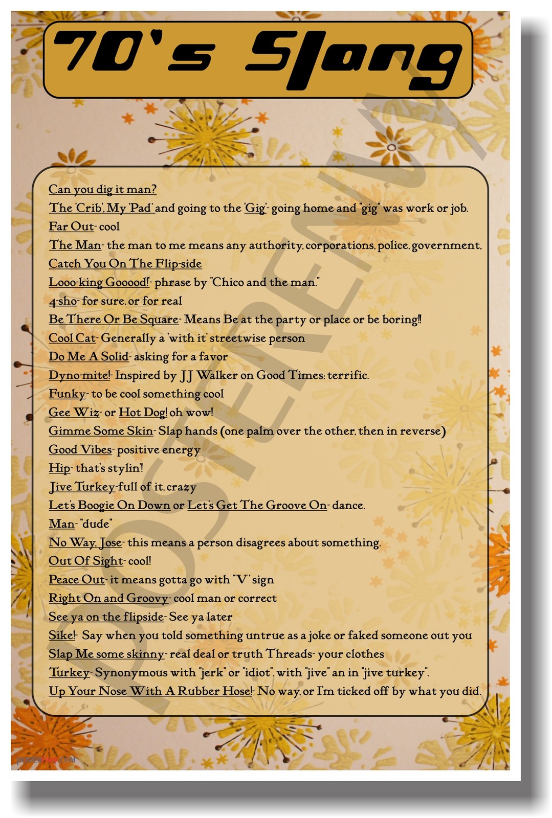 70's Slang - NEW Humor Poster