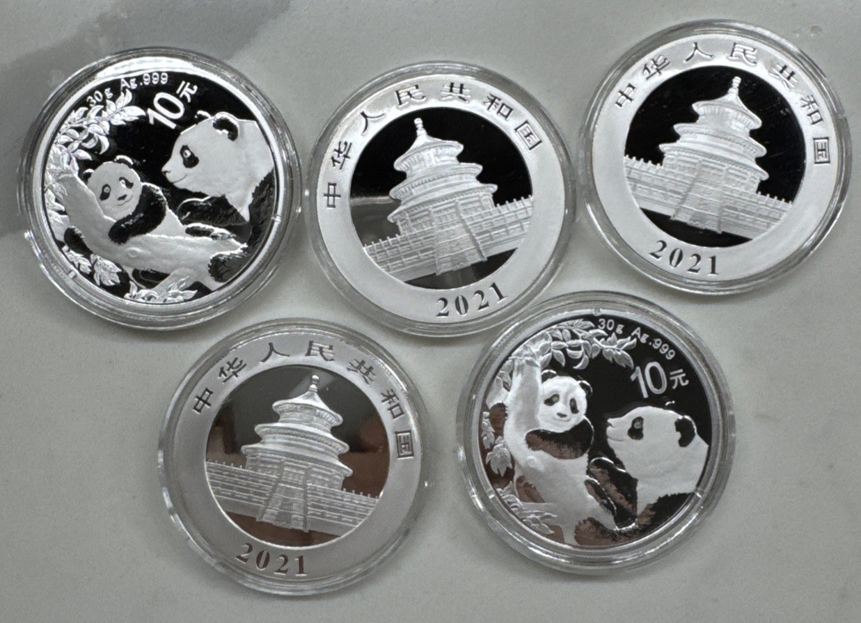 One  2021 China Silver Panda coin 30 gram 10 Yuan .999 Fine