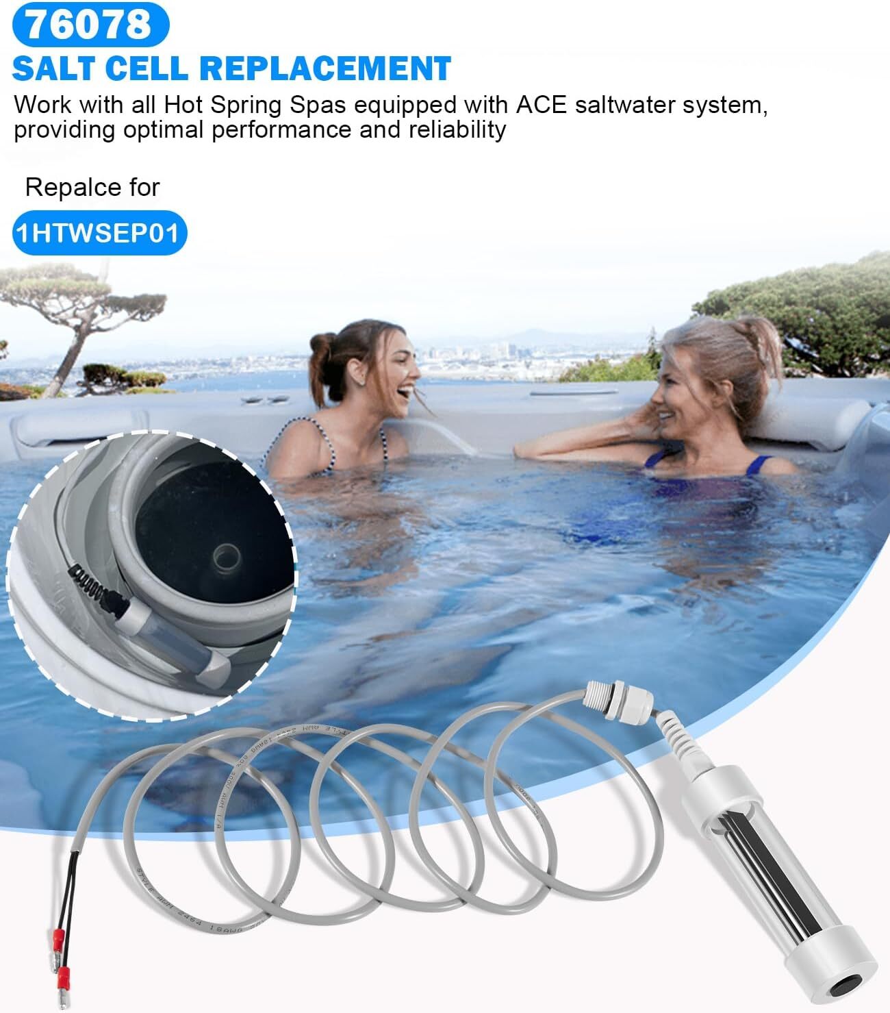 Scepter Salt Cell 76078 for ACE Systems Spas & Hot Tub, for Hot Spring/Limelight