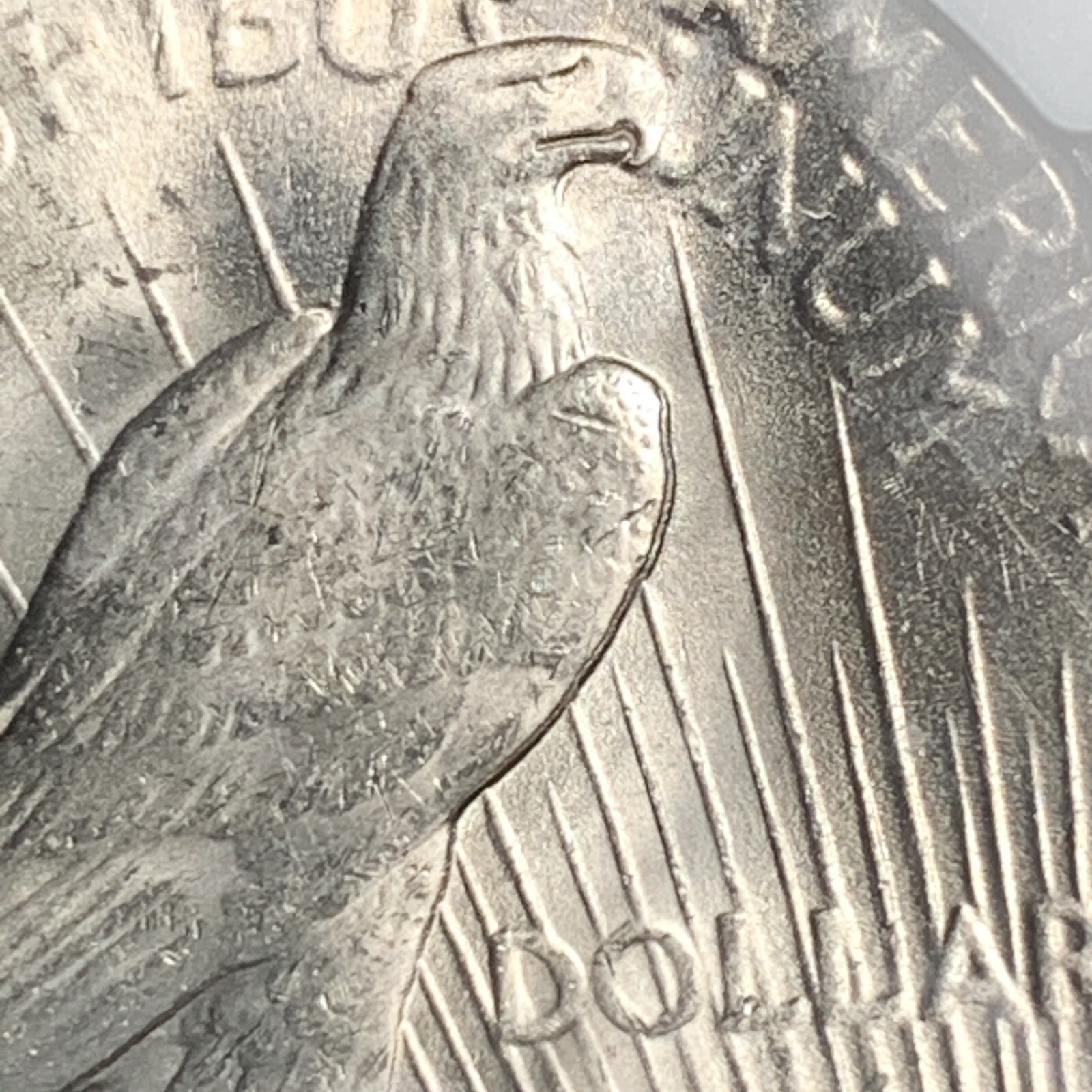 1922-P PEACE DOLLAR TOP 50 NGC MS61 VAM-7B DDR WING "TOP 50"