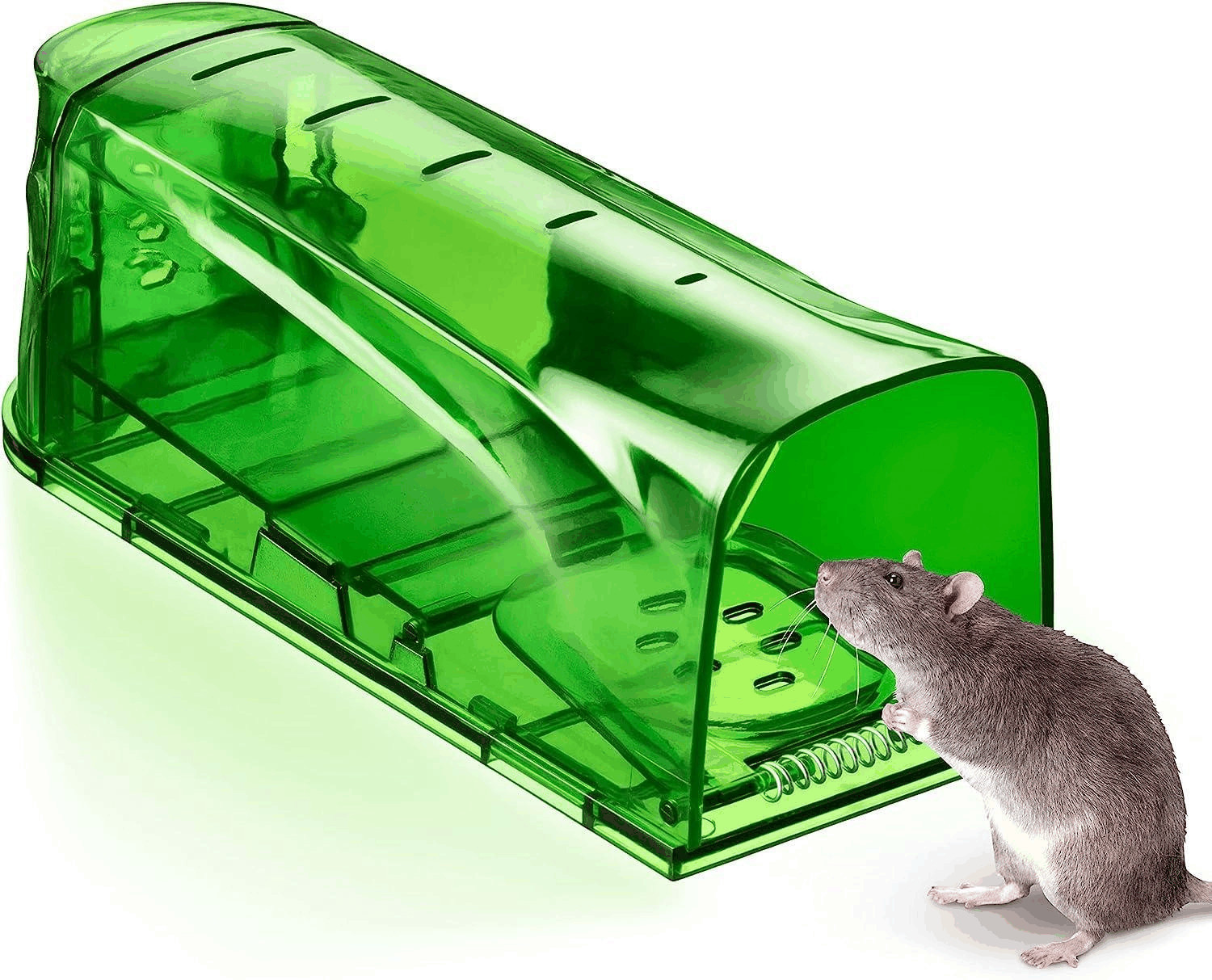 Humane Mouse Traps