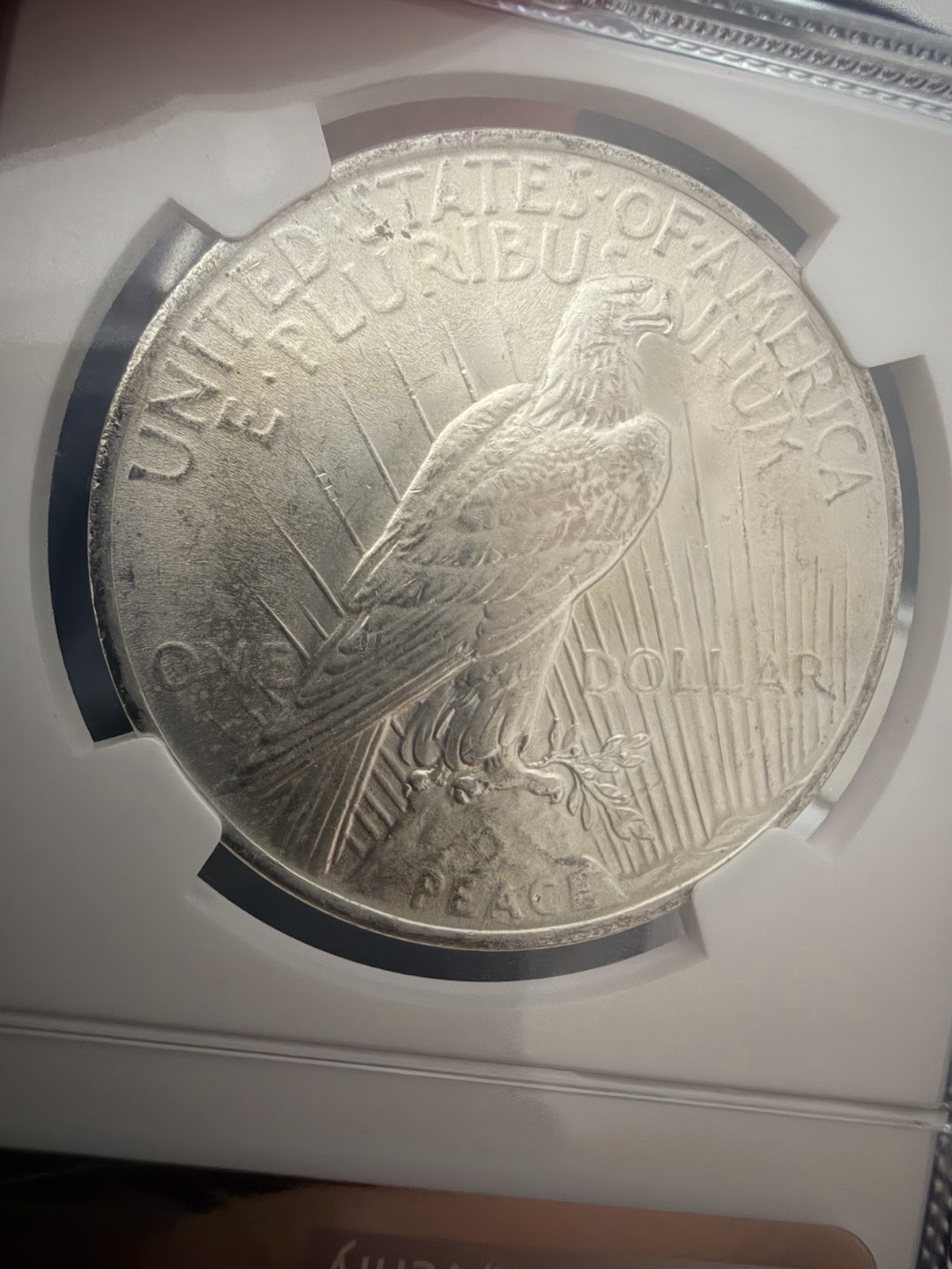 1922 & 1923 $1 Silver Peace Dollars NGC MS63