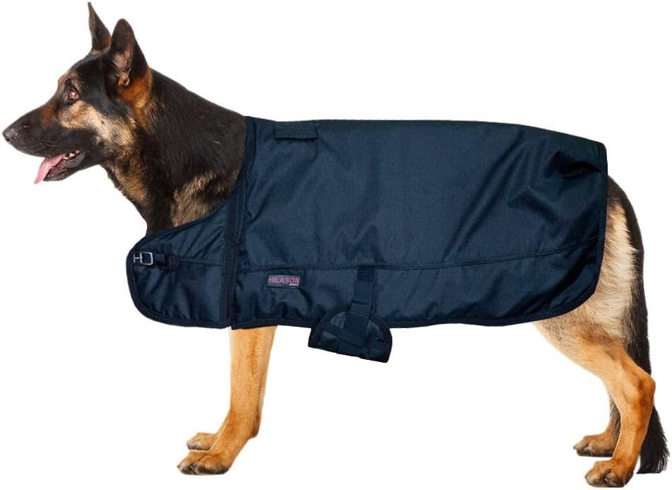 Hilason 200 gsm 600D Winter Turnout Waterproof Dog Blanket Black Size XXS