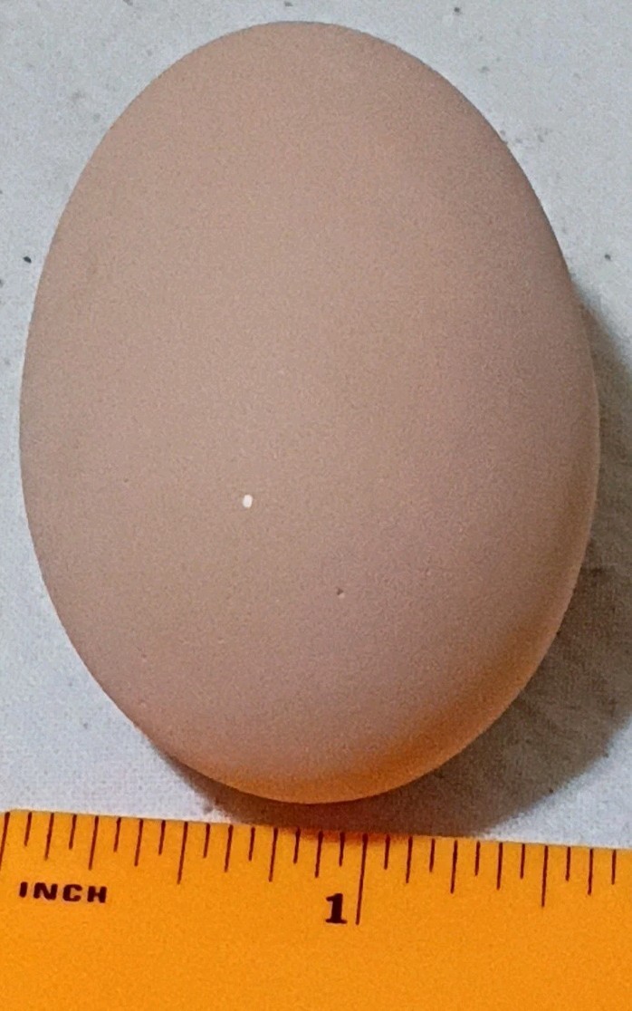 Set Of 10 Polymer Chicken Eggs B9
