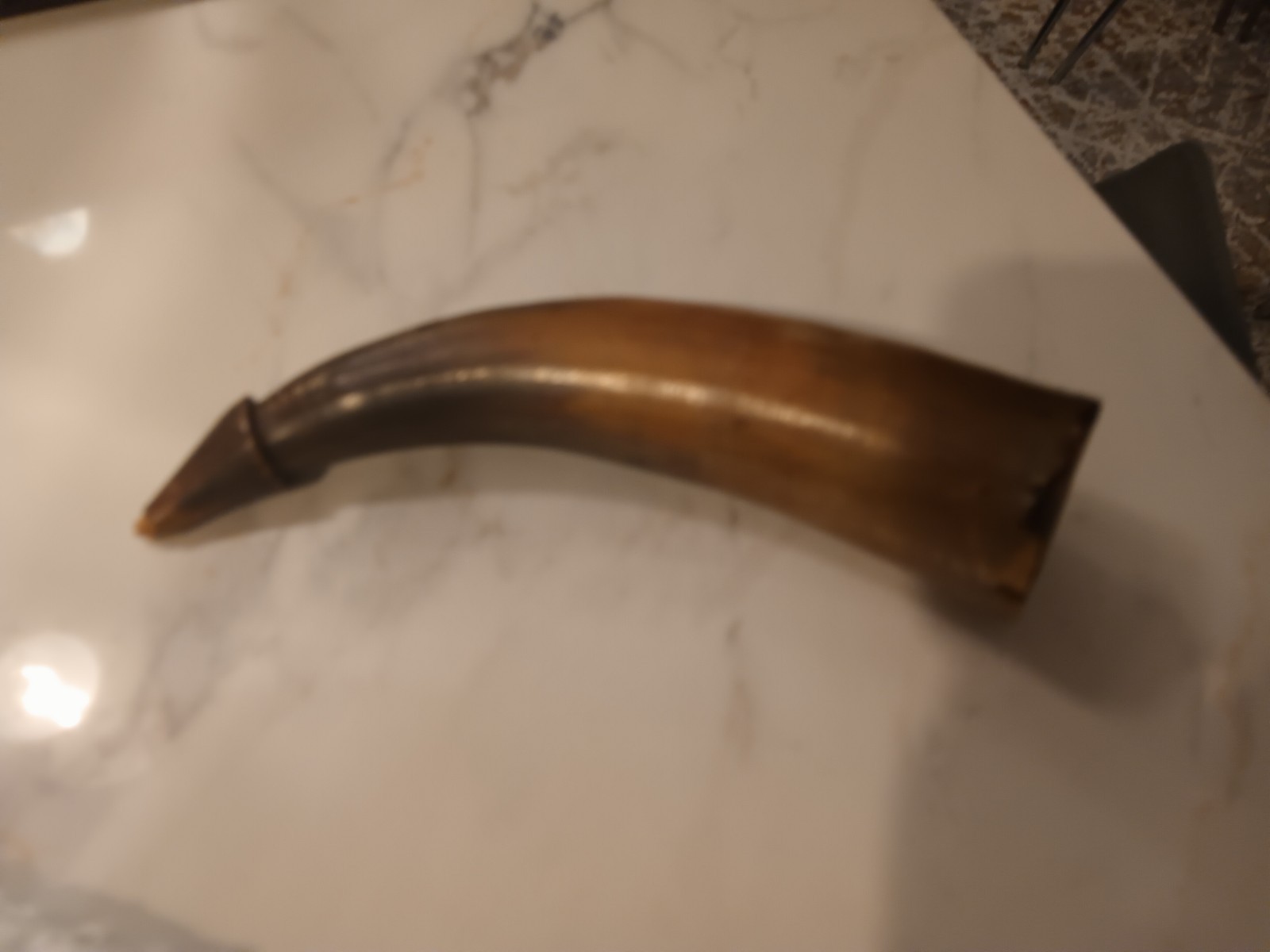 Vintage Powder Horn With Some Damage Sold As is 8"Length
