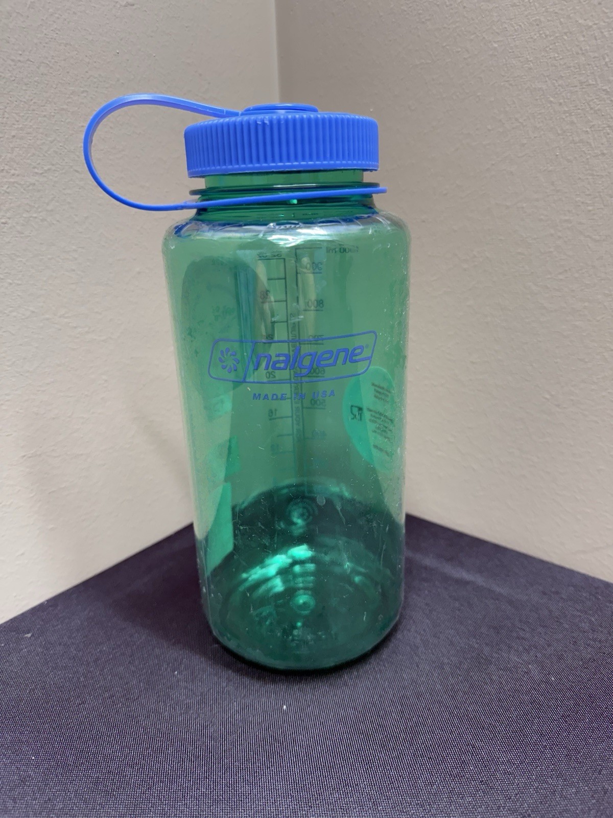 NEW Nalgene 32 Ounce Pastel Green Leak Proof Water Bottle Bpa Free For Everyday