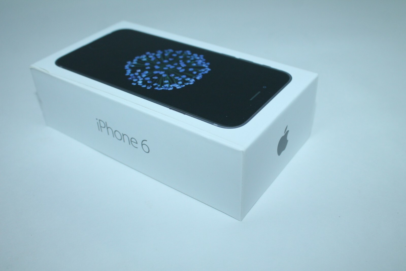 Apple iPhone 6 32GB Space Gray EMPTY BOX ONLY with Earpods