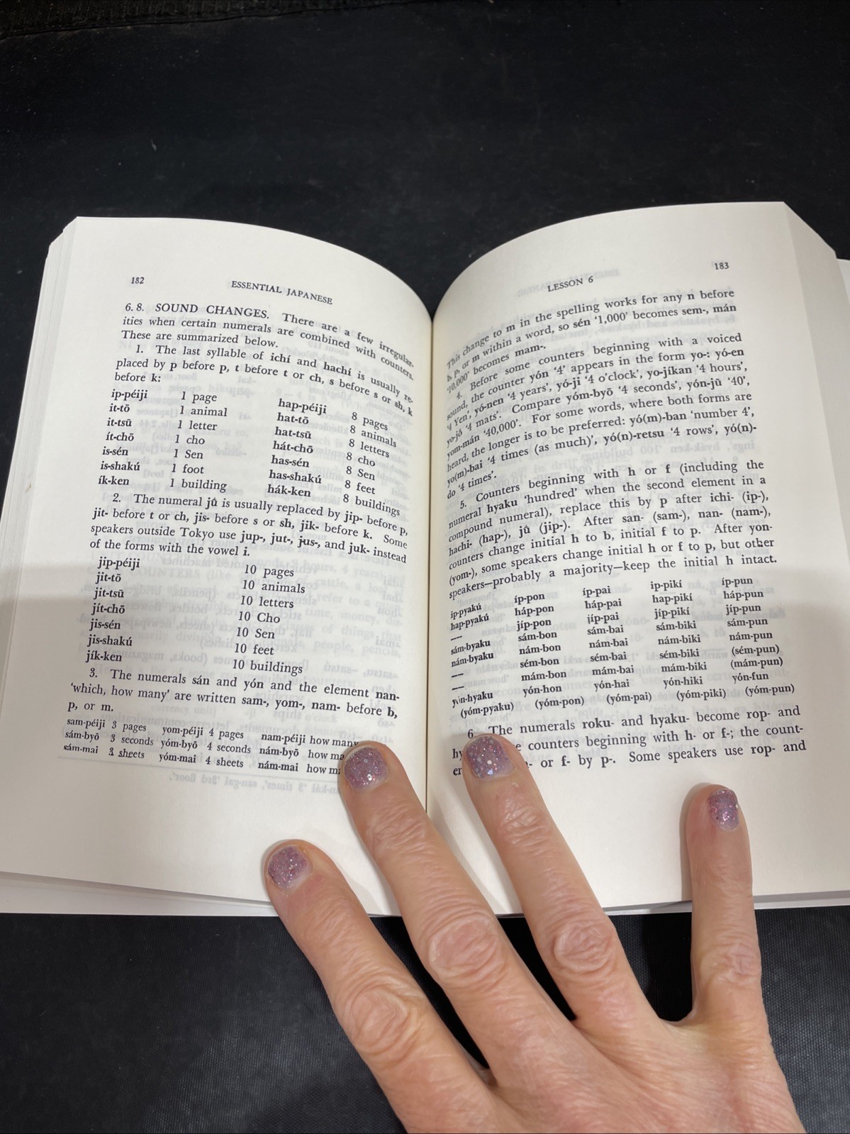 Essential Japanese by Samuel E. Martin Third Revised Edition