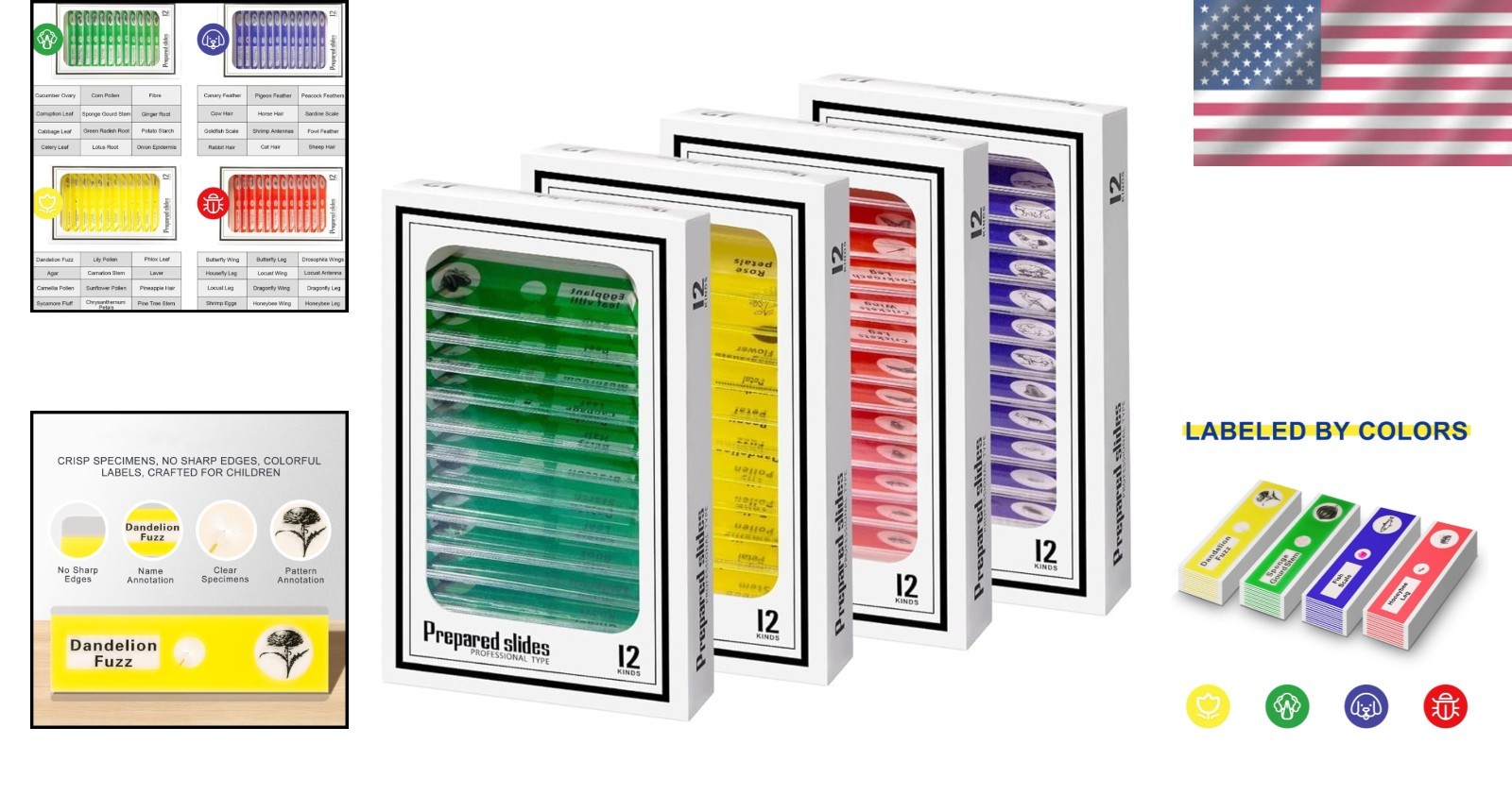 48Pcs Prepared Microscope Slides Set for Kids - Educational Specimens Collection