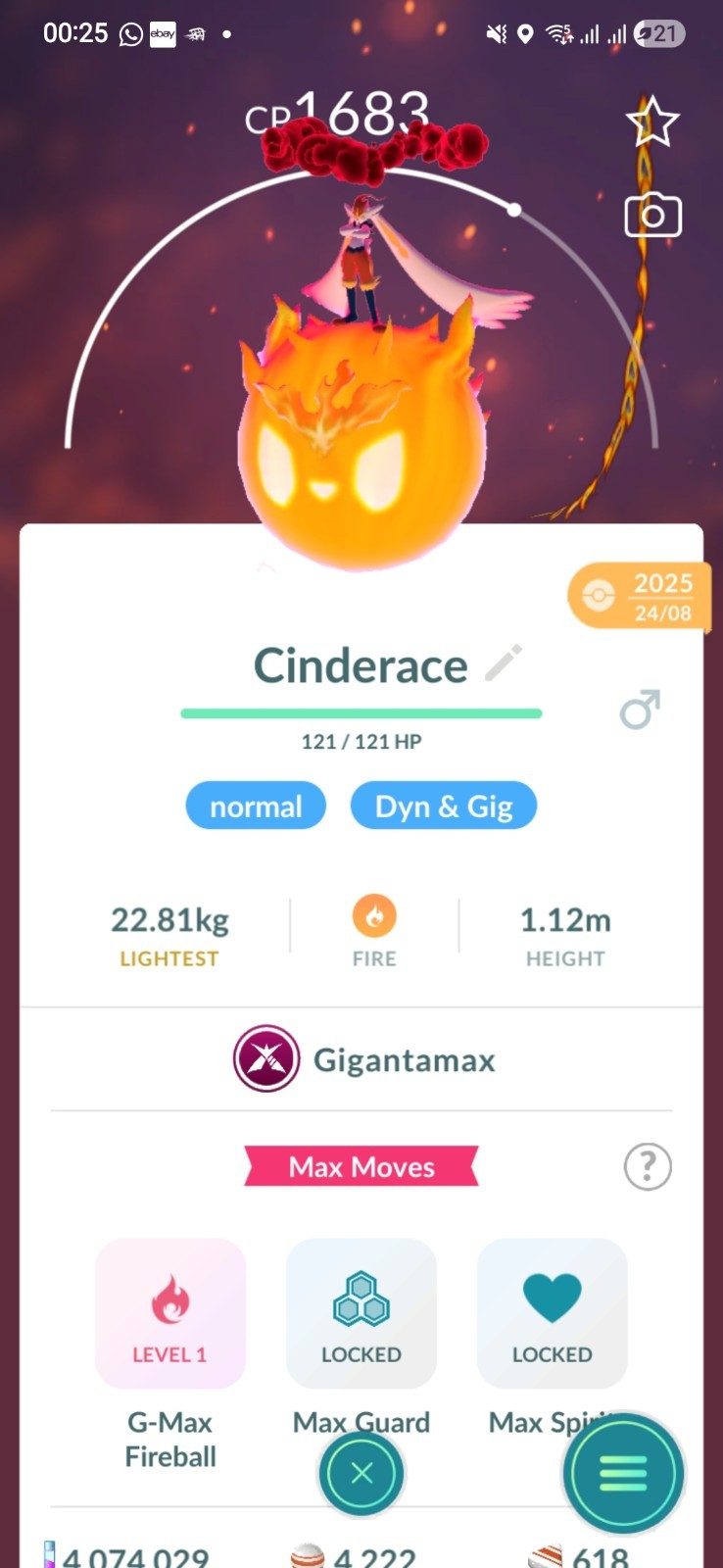 Gigantamax Cinderace Pokemon Fast Same Day Go