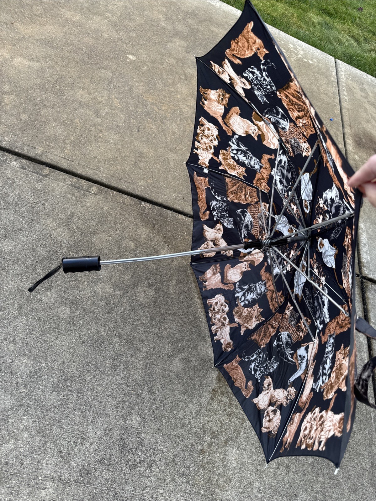 Cat Design Umbrella
