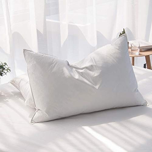 Aikoful Luxury 85% Waterfowl Feathers/15% Down Pillow Queen Size, Hote