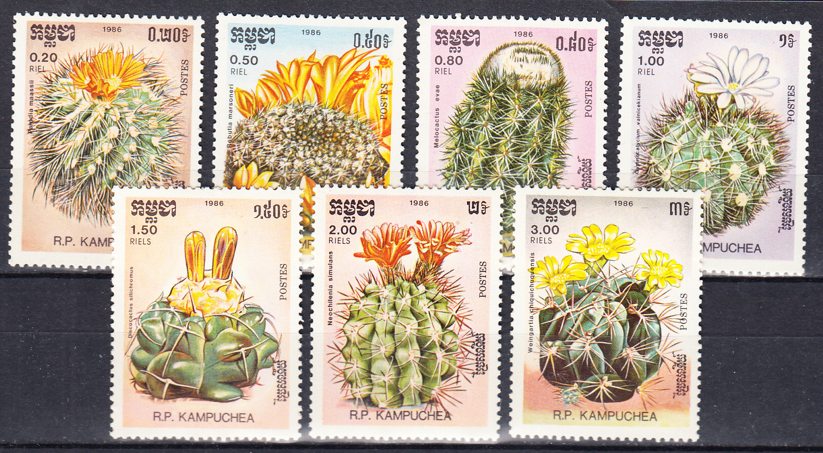 W CAMBODIA 0721-727 CACTUS